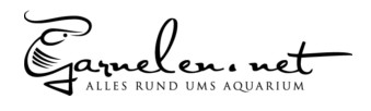 Garnelen.net
